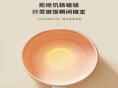 多功能电炒锅
