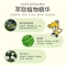 卡瓦库德·紫草舒缓膏
